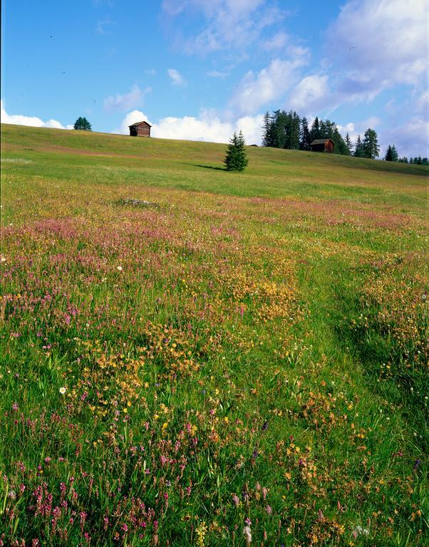 Ciasa Mirio' Lägenhet La Valle Exteriör bild