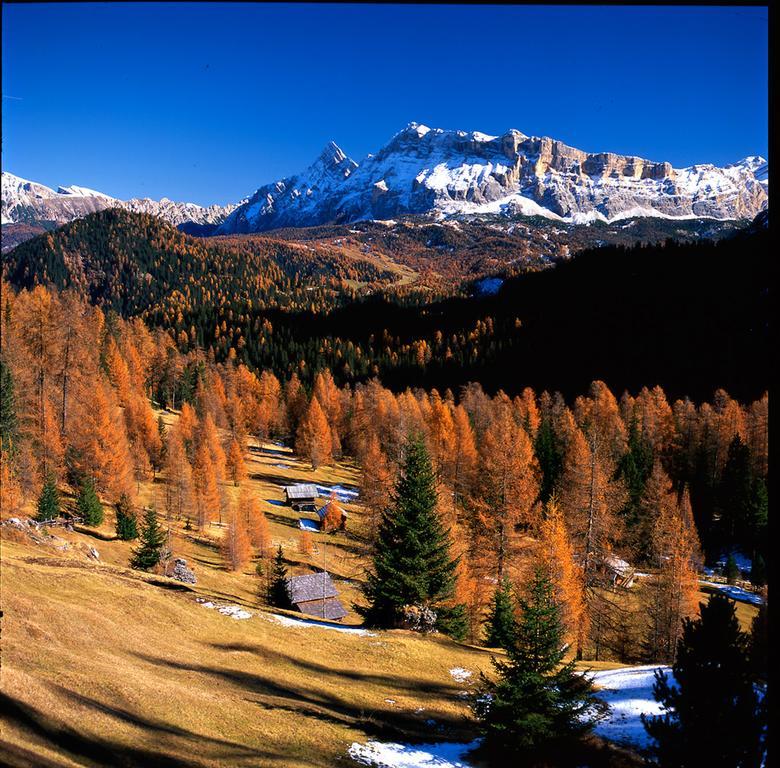 Ciasa Mirio' Lägenhet La Valle Exteriör bild
