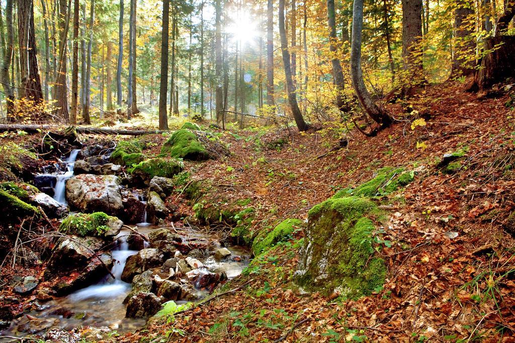 Ciasa Mirio' Lägenhet La Valle Exteriör bild