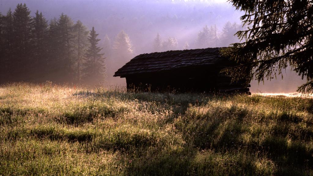 Ciasa Mirio' Lägenhet La Valle Exteriör bild